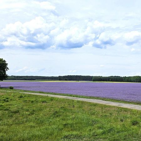Vila Pod Kamieniem Trzebiel Exteriér fotografie