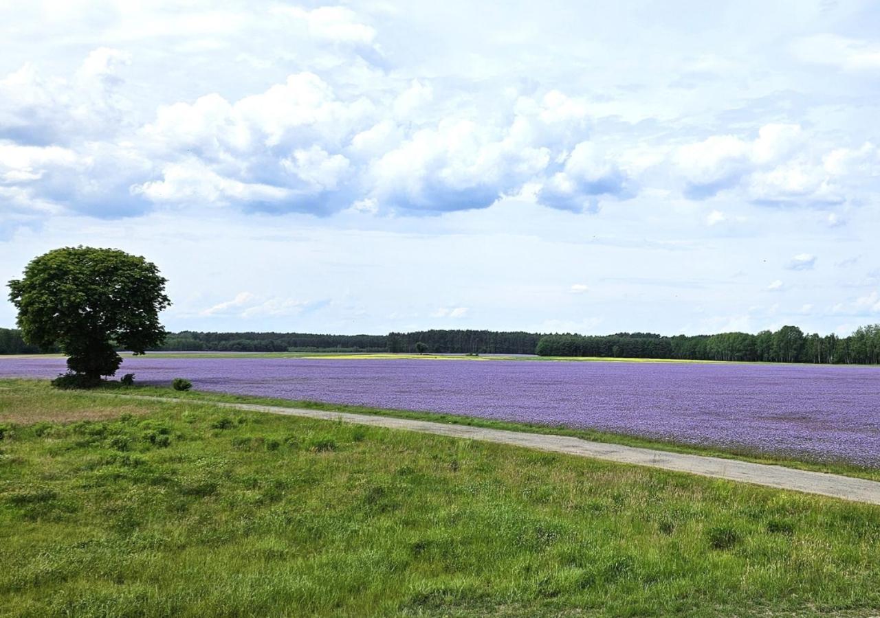 Vila Pod Kamieniem Trzebiel Exteriér fotografie